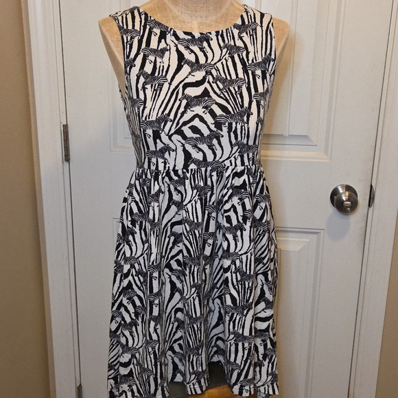 H&M Dresses & Skirts - Zebras on Zebra Stripes Sleeveless High-Low Dress